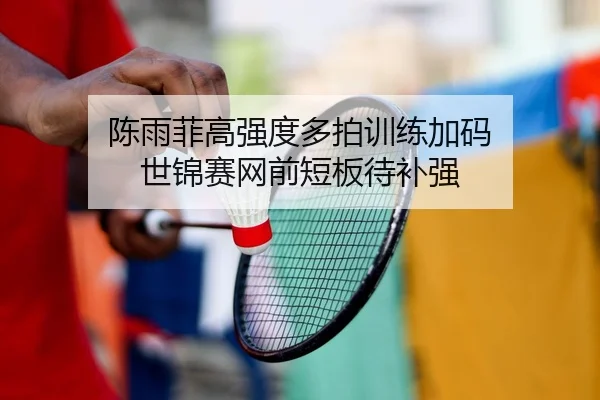 陈雨菲高强度多拍训练加码 世锦赛网前短板待补强